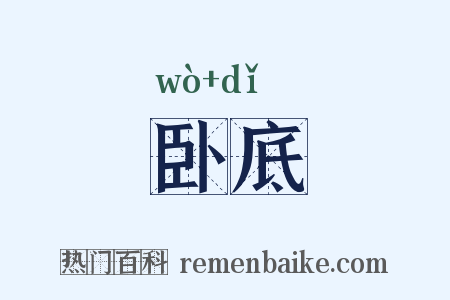 卧底是什么意思的图片